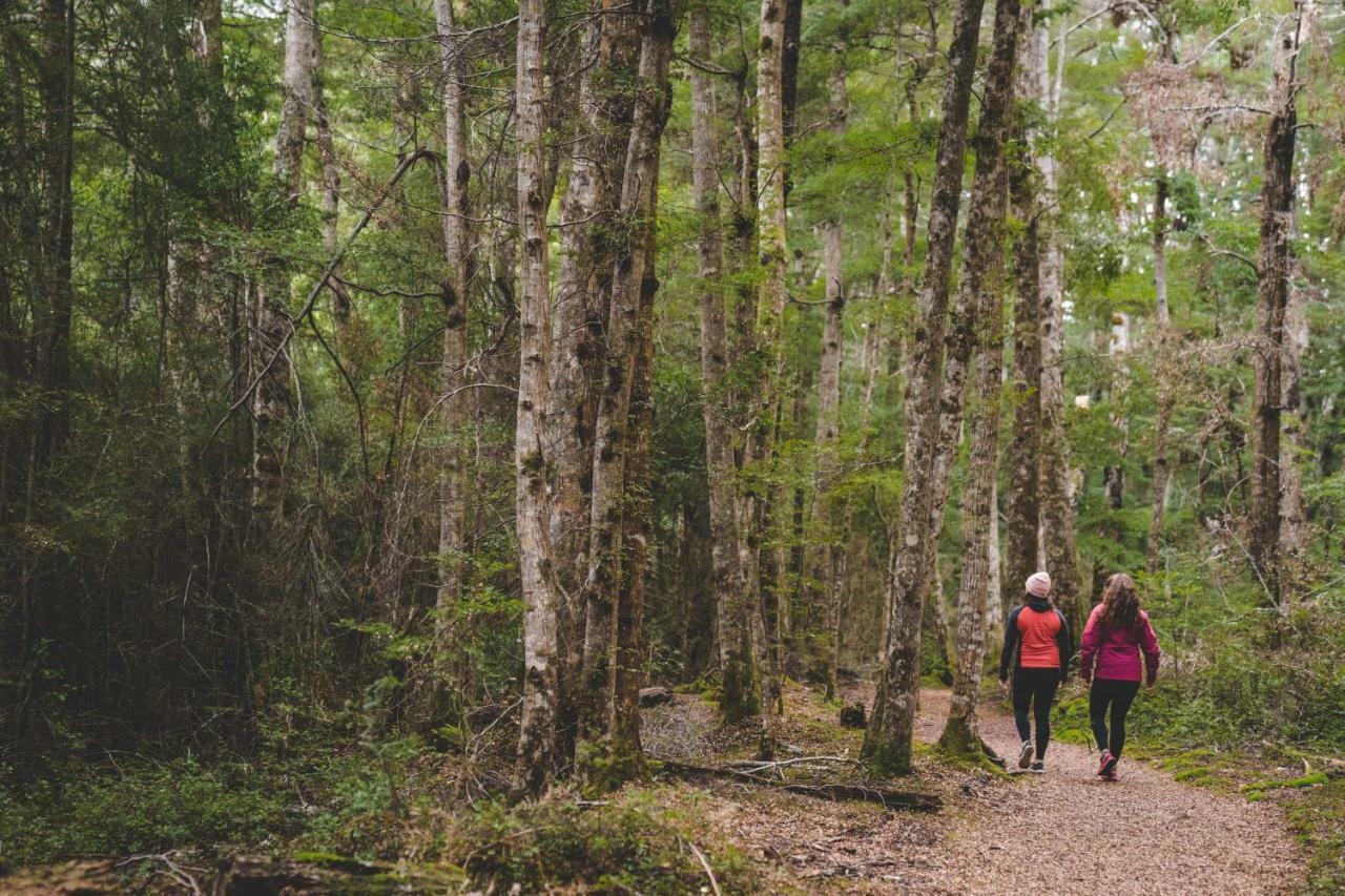 Хостел Lone Moose Backpackers Те-Анау Экстерьер фото